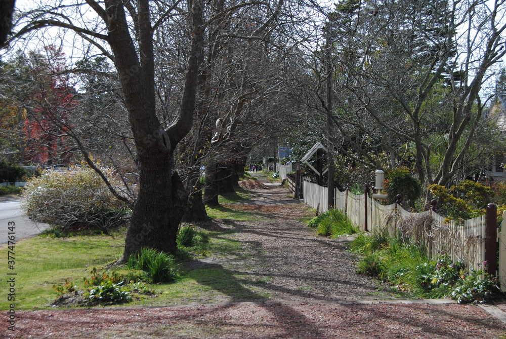 The Wentworth Falls town street in the Blue Mountains national park, Australia The Wentworth Falls town street in the Blue Mountains national park, Australia
