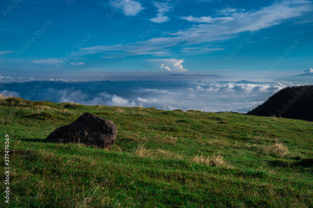Obraz premium 青空の高原