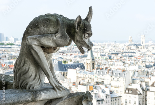 Gargoyle statue with city of Paris on background