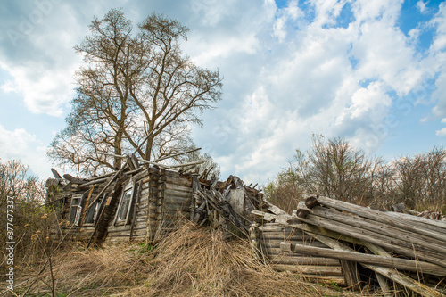 Fényképezés Old rustic wooden log house destroyed, without a roof against a blue sky with white clouds