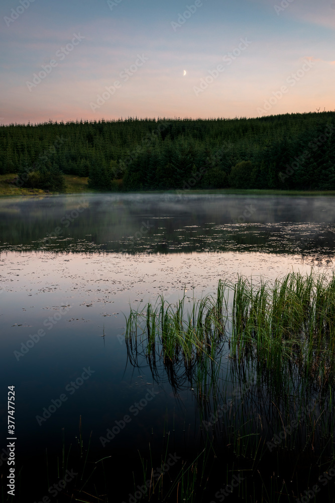 Ladymuir Reservoir, Locherwood and Lady Muir Woodland, Renfrewshire, Scotland, UK