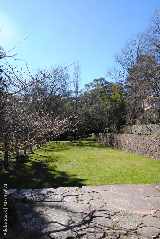 The outdoor garden by the house in rural Australia, The Blue Mountains national park The outdoor garden by the house in rural Australia, The Blue Mountains national park