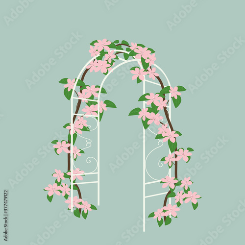 Vector illustration of a garden, park arch with a clematis branch.