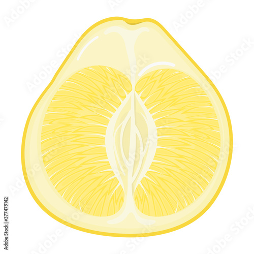 Fresh bright exotic half yellow pomelo fruit isolated on white background. Summer fruits for healthy lifestyle. Organic fruit. Cartoon style. Vector illustration for any design.