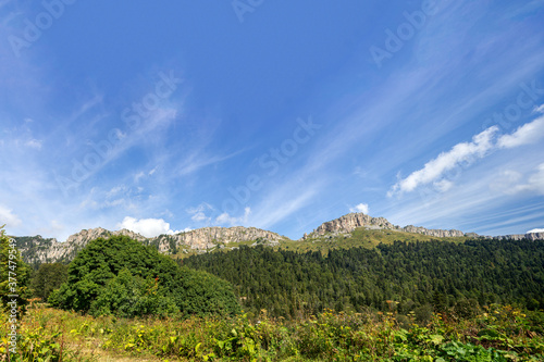 Panorama of mountains and subalpine meadows covered with vegetation in the summer - places to visit and walk for tourists and outdoor enthusiasts.