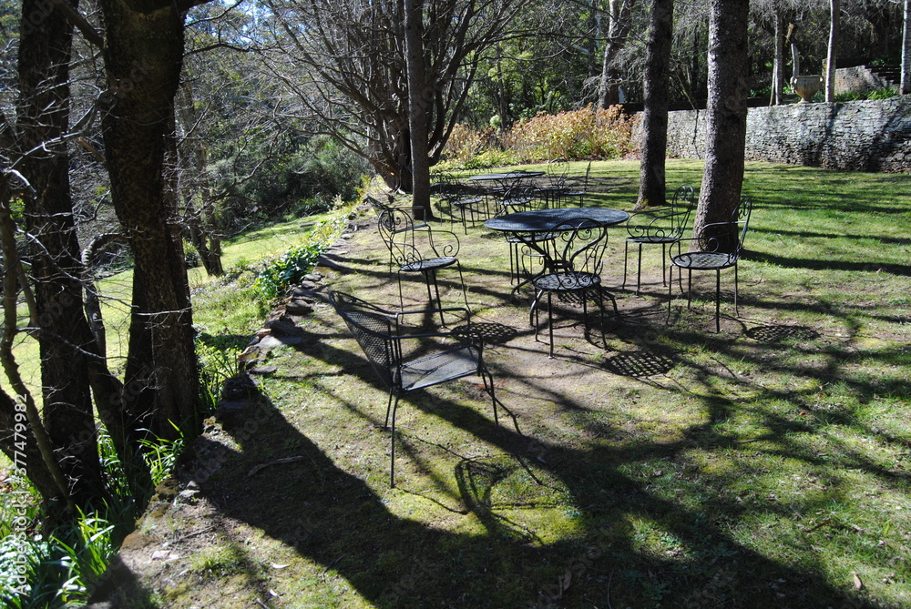The outdoor garden by the house in rural Australia, The Blue Mountains national park The outdoor garden by the house in rural Australia, The Blue Mountains national park