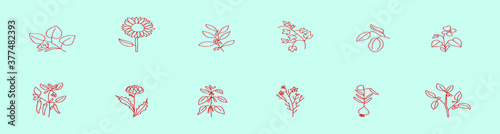 dogwood set icon design for logo and more. isolated vector on blue background