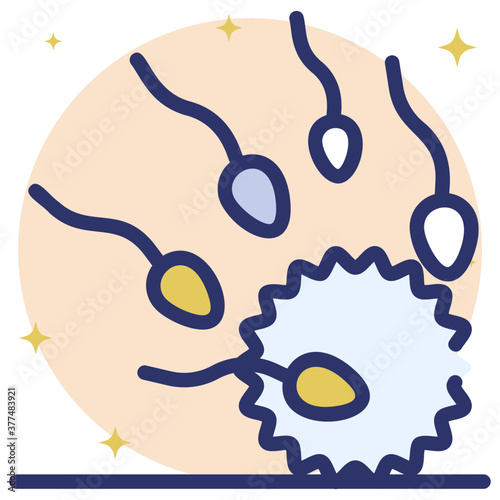 Conception 