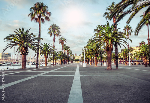 Fotografie, Obraz promenade In the streets of Barcelona Spain.