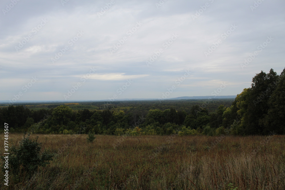 Autumn, plain covered with forest in the rain