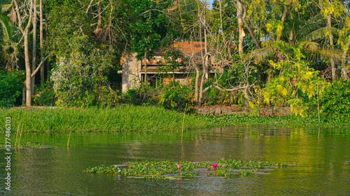 South West India photo
