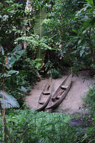 Two canoes in a rain forest. photo