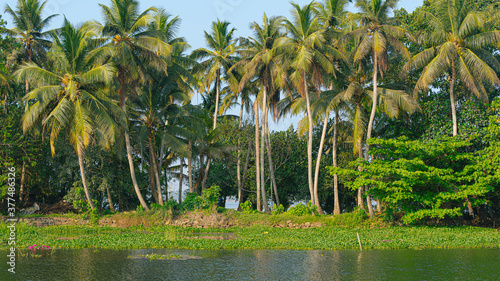 South West India photo
