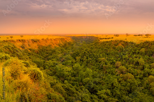 One kilometer long and 100 meters deep Kyambura Gorge in the Queen Elizabeth National Park at sunset that is a home for chimanzees, Uganda.