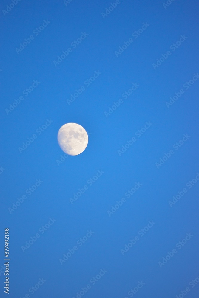 Full Moon in blue dusk sky background Full Moon in blue dusk sky background