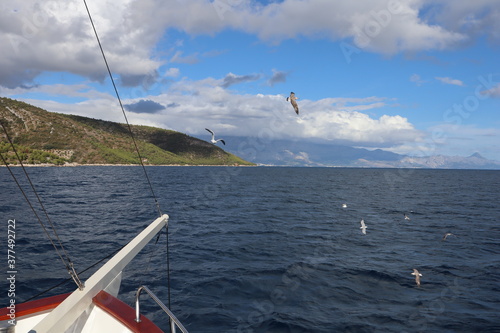 Seascape view from the ship on the sea coast of Croatia, seagulls over the sea on a sunny summer day.