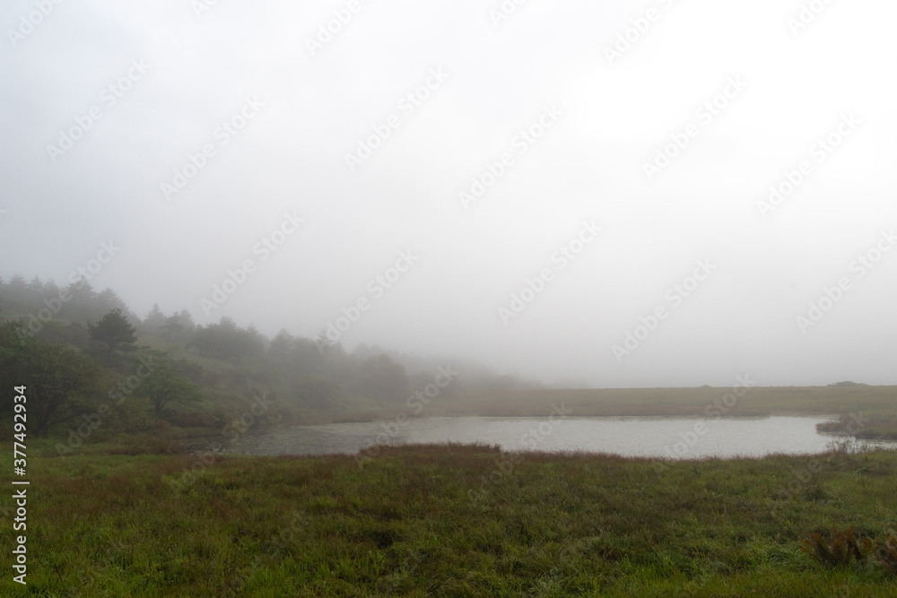 霧に包まれた八島ヶ原湿原（八島湿原）
