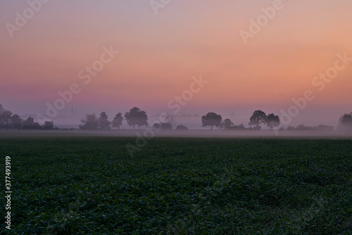 Septembermorgen