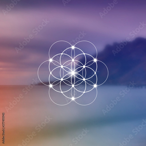 Flower of life sacred geometry illustration with intelocking circles and light dots in front of photographic background. Hipster tree of life sci fi art