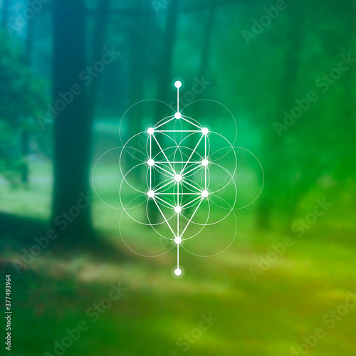 Flower of life sacred geometry illustration with intelocking circles and light dots in front of photographic background. Hipster tree of life sci fi art