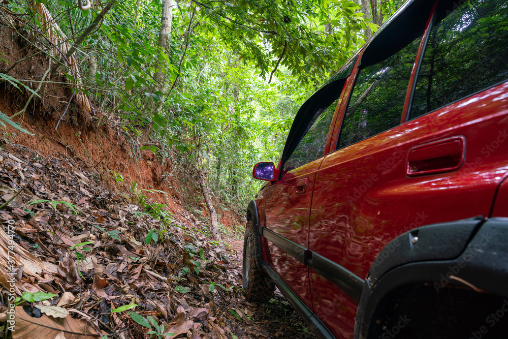 Red suv summer car and road in mountains Driving in forest dirt road Free space for your decoration Green forest background Countryside mood adventure.