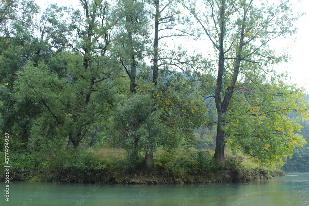 River and trees in a cloudy autumn in the rain