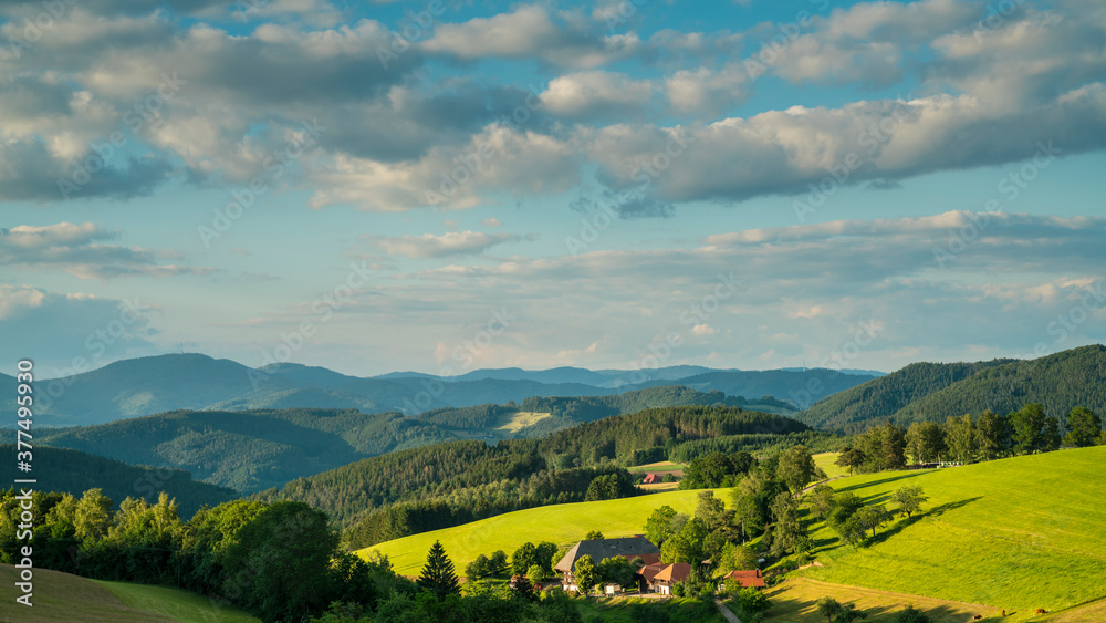 Germany, Black Forest Schwarzwald, Green mountainous forested nature landscape and farm in the afternoon
