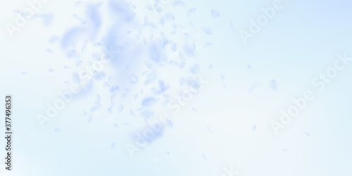 Light blue flower petals falling down. Decent roma
