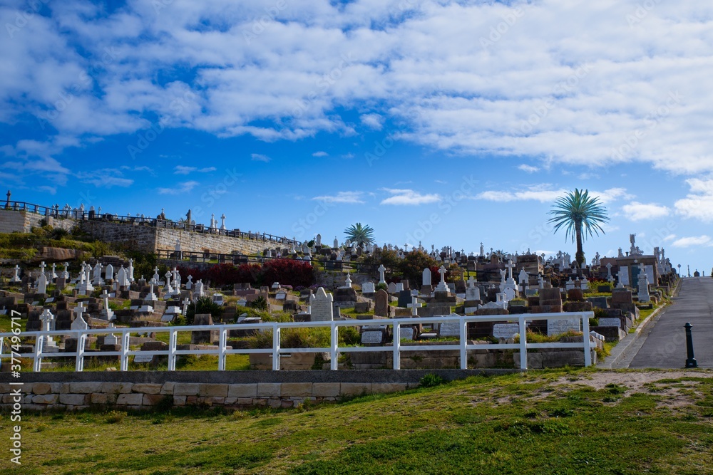 Bronte Beach Cemetery sitting on top of high rock cliffs with magnificent views to the ocean  - obrazy, fototapety, plakaty 