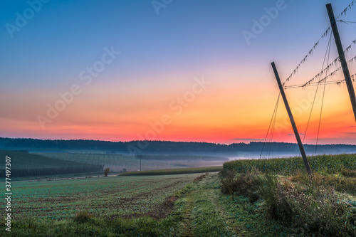Hopfenanbaugebiet Hallertau mit Hopfengarten am Morgen