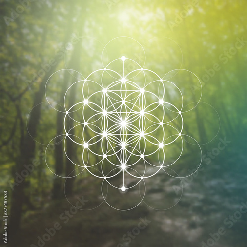 Flower of life sacred geometry illustration with intelocking circles and light dots in front of photographic background. Hipster tree of life sci fi art
