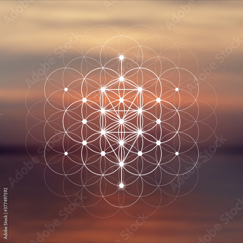 Flower of life sacred geometry illustration with intelocking circles and light dots in front of photographic background. Hipster tree of life sci fi art