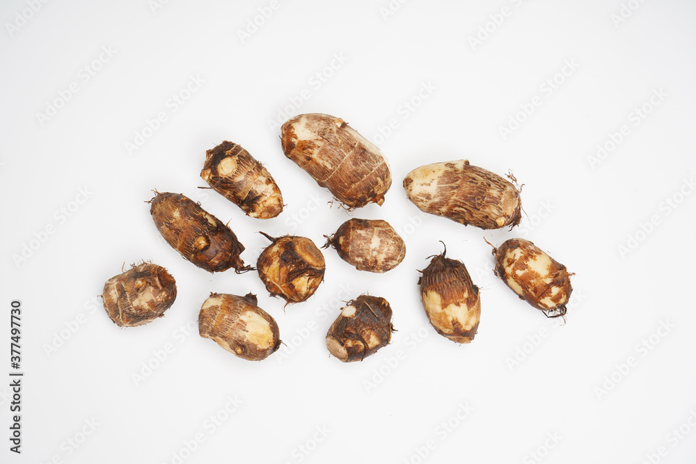 colocasia esculenta roots isolated on white background colocasia esculenta roots isolated on white background
