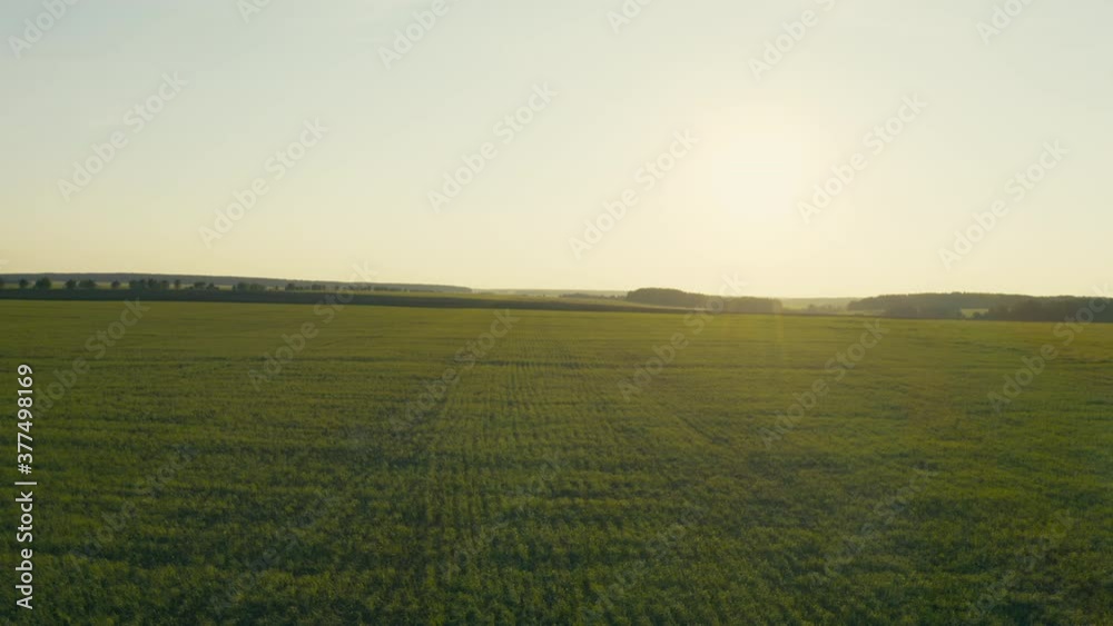 Aerial view of a green field with the sun at sunset Aerial view of a green field with the sun at sunset