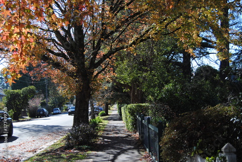 Leura, New South Wales / Australia in 2020: Leura street view in the falls with the red and yellow trees