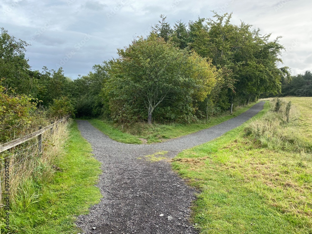 path in the park