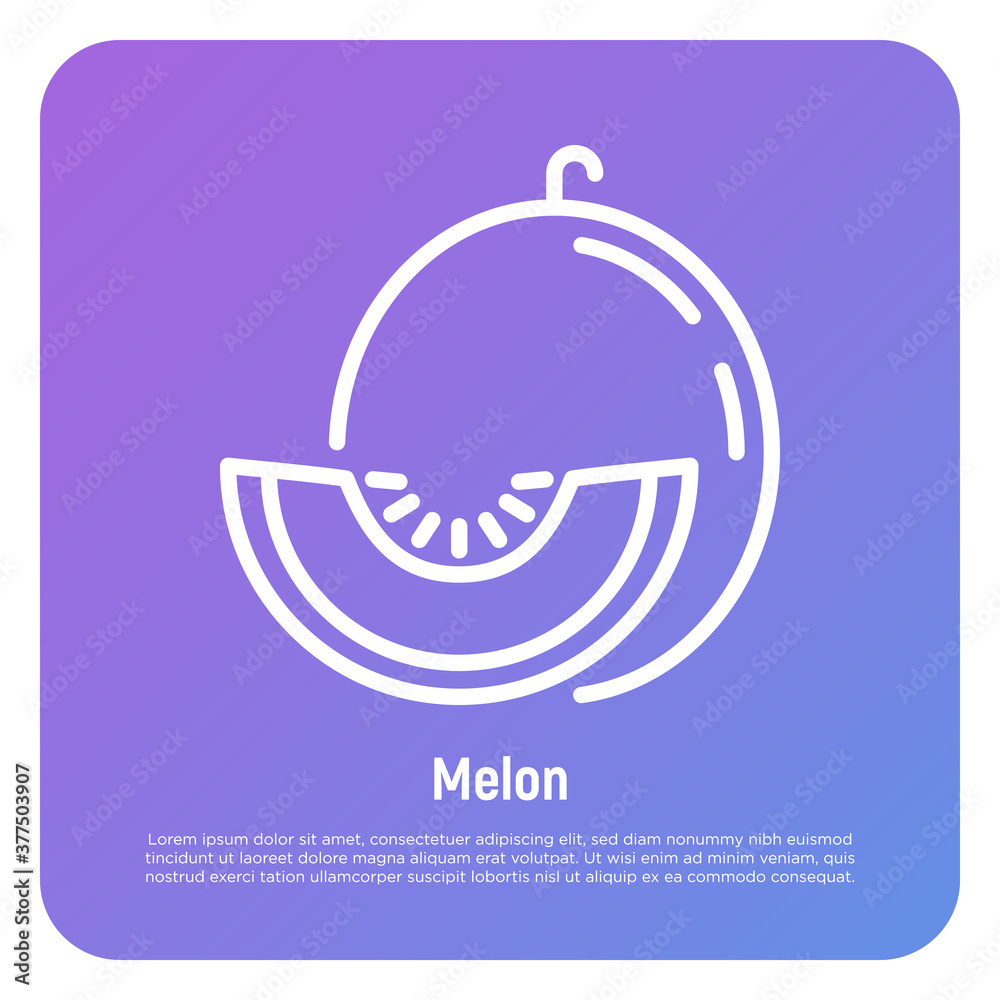 Melon thin line icon. Tropical fruit. Healthy vegan food. Vector illustration. Melon thin line icon. Tropical fruit. Healthy vegan food. Vector illustration.