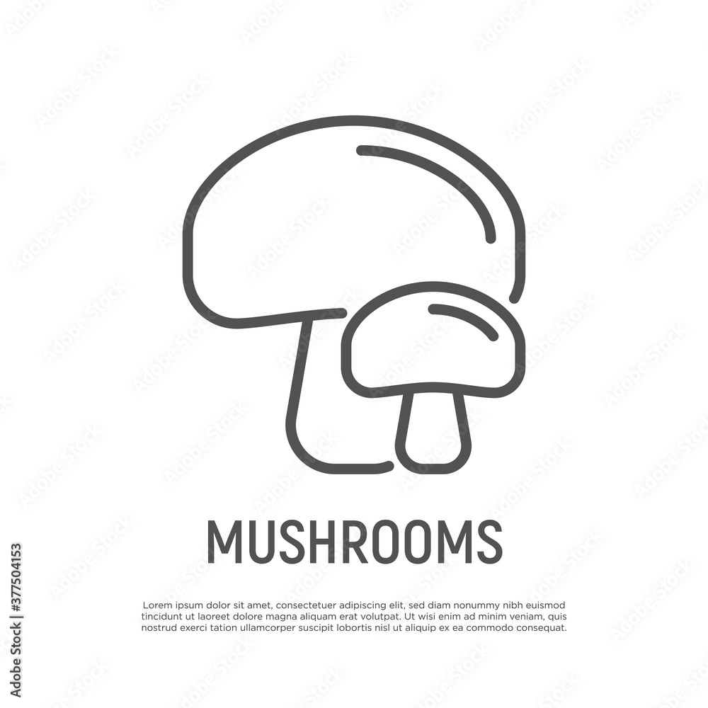 Mushrooms thin line icon. Champignon. Healthy organic food. Vector illustration.