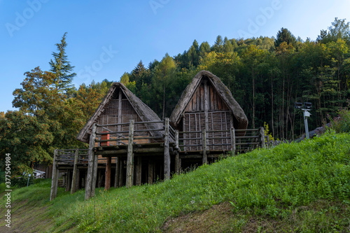 Detail of the archaeological area of Idro Lake. The wooden stilts surrounded by green trees in summer.Trentino, near Lake Garda Riva del Garda Trento, Trentino, Italy.
