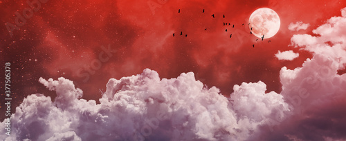 Photography halloween night sky background with stars, moon and red clouds
