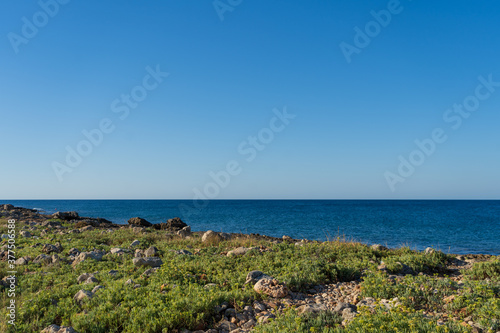 Rocky shore of Posto Rosso, Salento, Puglia, Southern Italy, with green and lush vegetation, in a sunny summer day, with bright colors, clear water and blue sky.  © AlexMastro