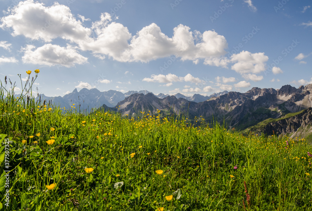 Gebirgspanorama in den Alpen mit saftihen Wiesen und bunten Blumen
