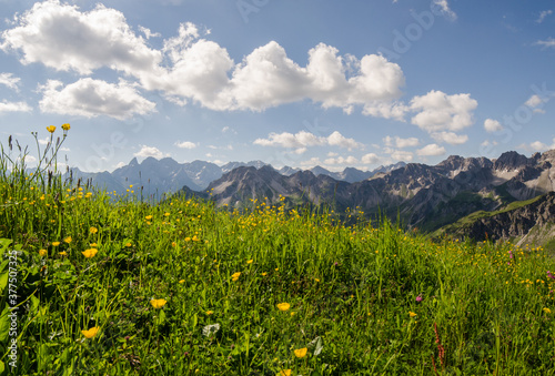 Gebirgspanorama in den Alpen mit saftihen Wiesen und bunten Blumen