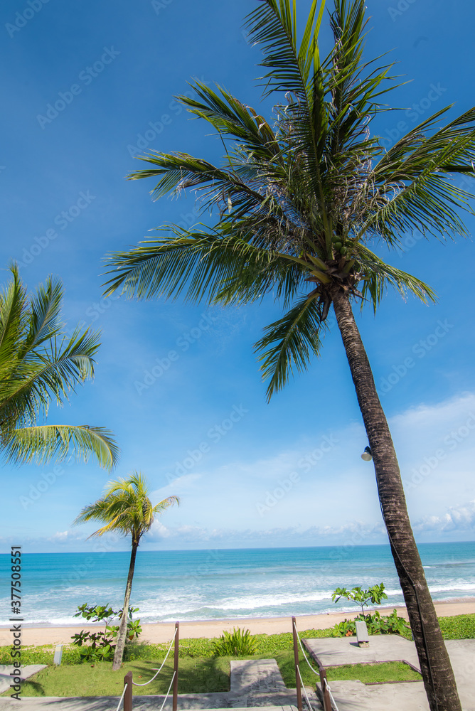 Blue sky with white sand and palm beach 