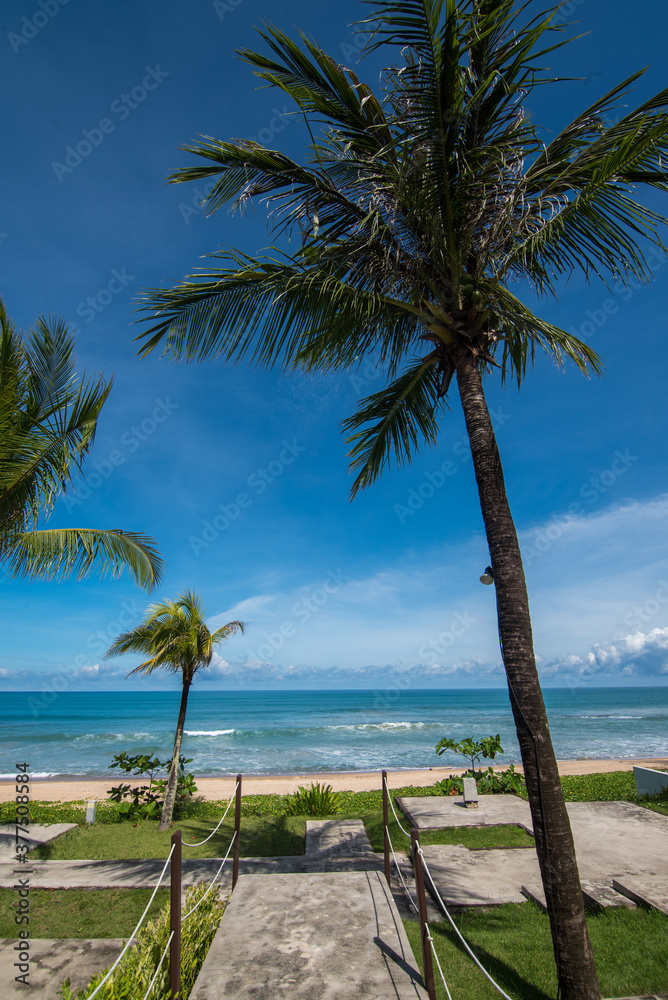Blue sky with white sand and palm beach 