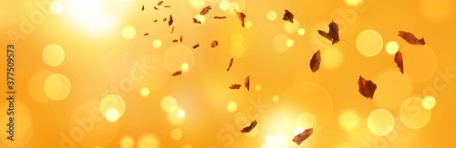 Gold yellow autumn background banner with falling autumn leaves