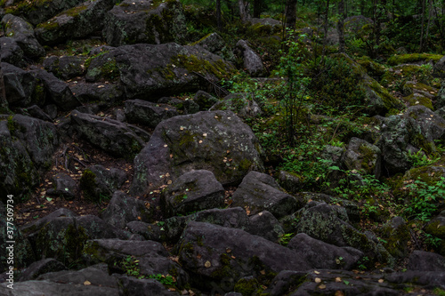 large gray rough textured chipped big stones with moss in green grass in forest