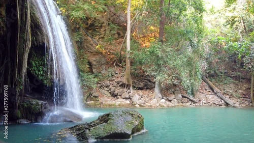 Waterfall water cascade and leaves from tree in green forest. 4K video clip