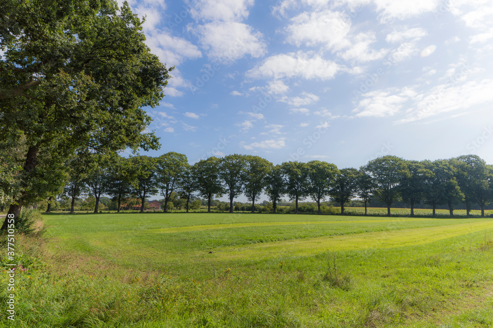 Fototapeta premium Agricultural fields near Heidenhoek, The Netherlands
