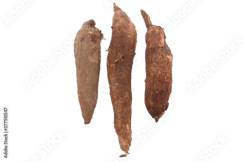 Fresh Tapioca roots or Cassava roots isolated on a white background photo